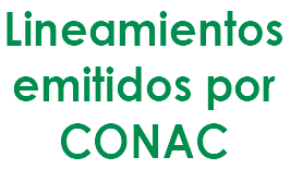 Lineamientos CONAC